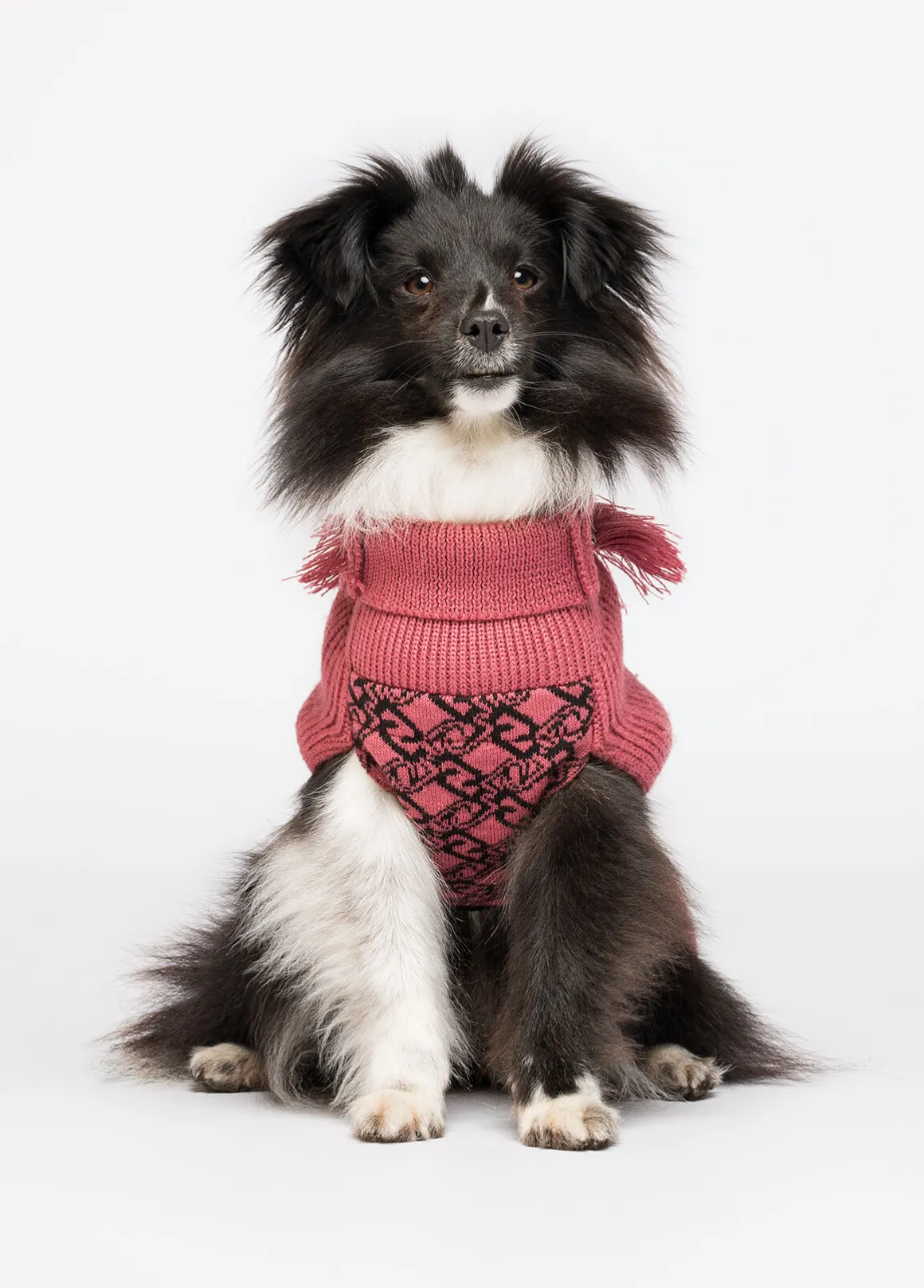 Dolcevita in lana e cashmere Liu Jo Pets