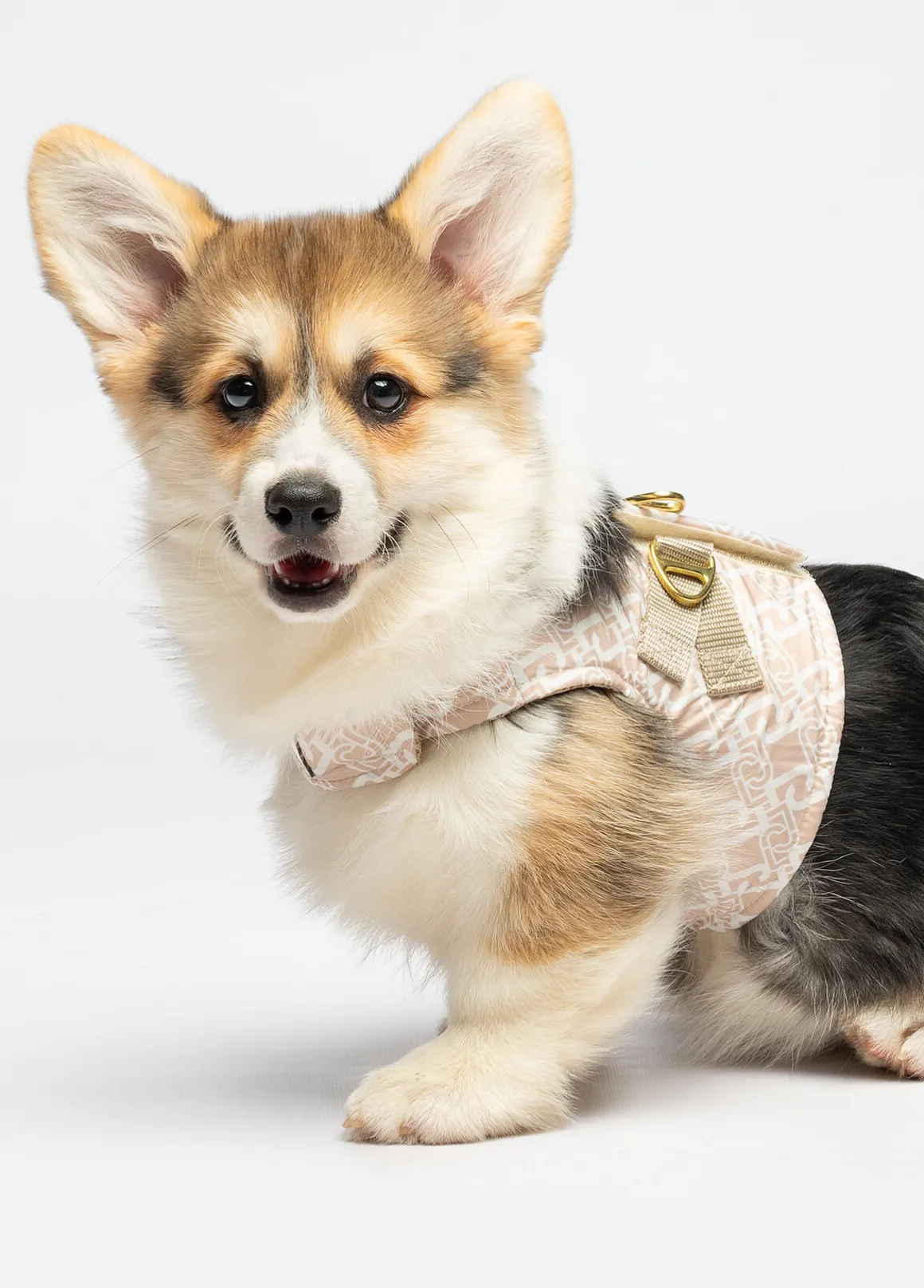 Pettorina Liu Jo Pets