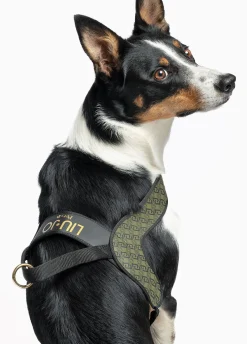 Pettorina taglia grande Liu Jo Pets