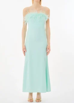Vestito elegante con piume